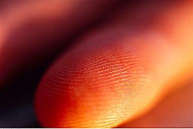 《女神异闻录5 皇家版》Xbox、Win版 将收录原版40多个DLC